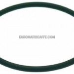 O-RING 2125 VITON PER ASTA ESPULSIONE FONDI BIANCHI V.A.S.