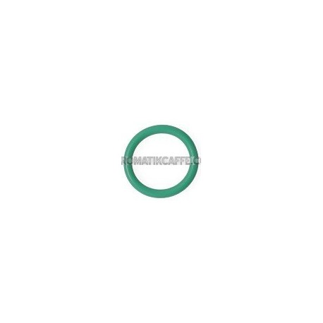 OR 10,78x2,62 VITON® VERDE - OR WEGA SNODO VAPORE