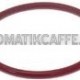 OR 153 (49.21X3.53) SILICONE 70SHA PER PISTONE LAVAZZA EP 800